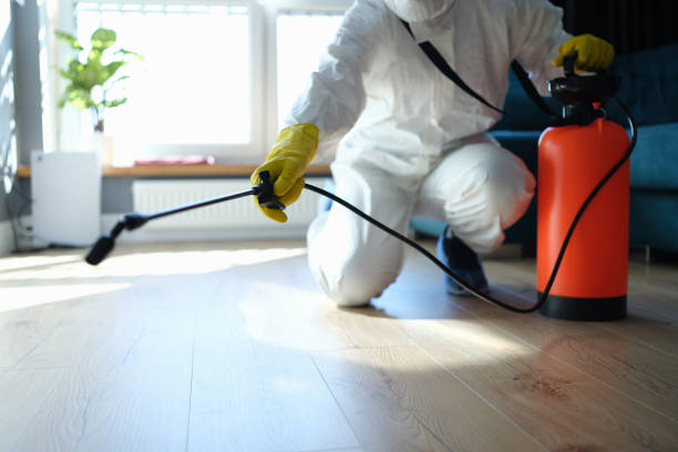 Pest Control for Restaurants in Saratoga, CA