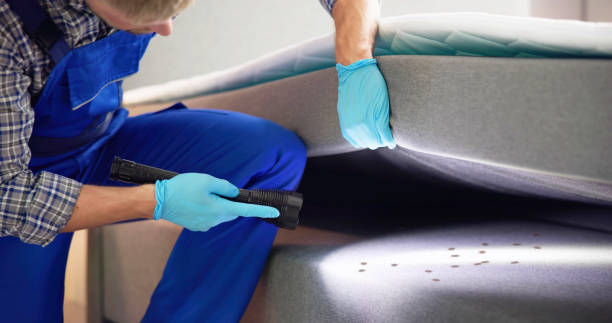 Professional Pest Control in Saratoga, CA