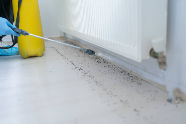 Best Pest Removal Services  in Saratoga, CA