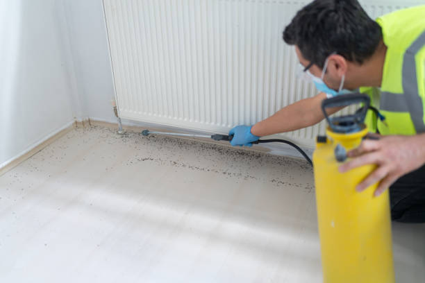 Best Termite Control Services  in Saratoga, CA