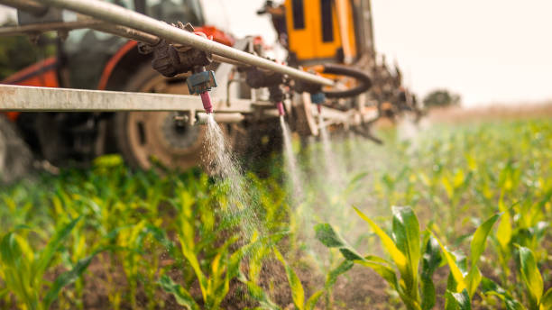 Best Pest Control for Homes  in Saratoga, CA